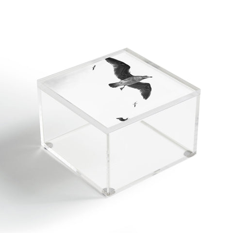 Lisa Argyropoulos Flight of Fancy Monochrome Acrylic Box