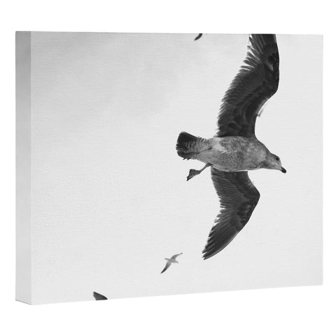 Lisa Argyropoulos Flight of Fancy Monochrome Art Canvas