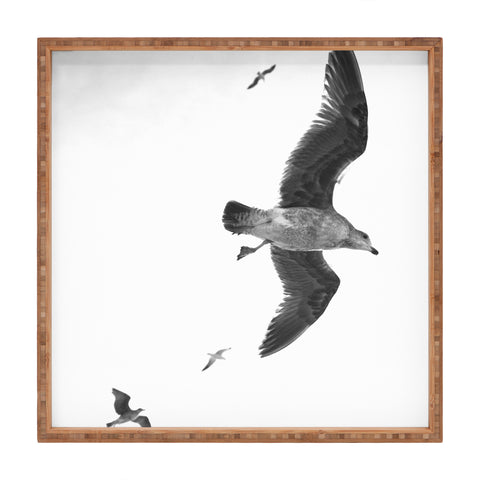 Lisa Argyropoulos Flight of Fancy Monochrome Square Tray