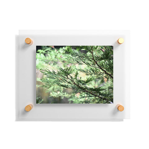 Lisa Argyropoulos Forest Whispers Floating Acrylic Print