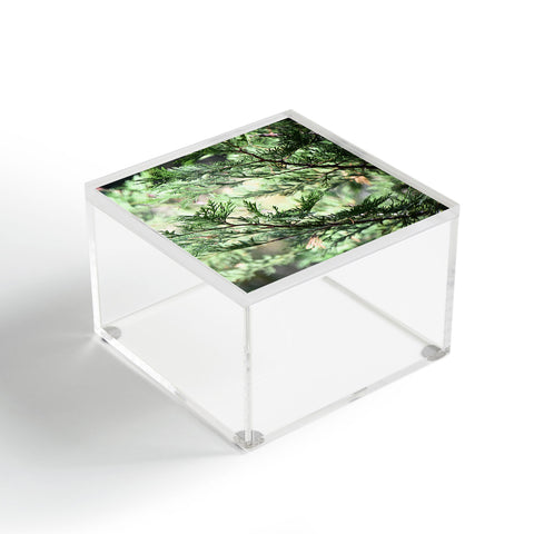 Lisa Argyropoulos Forest Whispers Acrylic Box