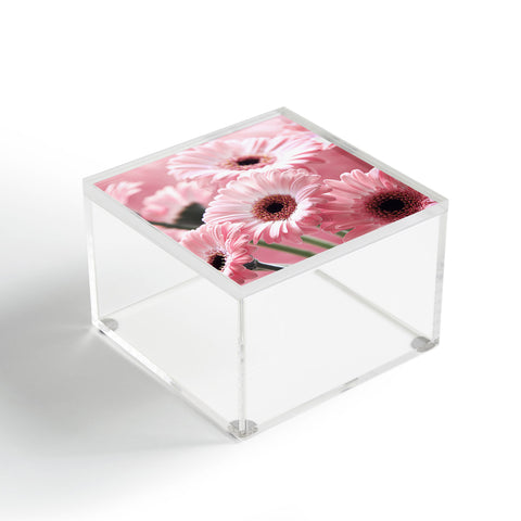 Lisa Argyropoulos Gerbera Spring Acrylic Box