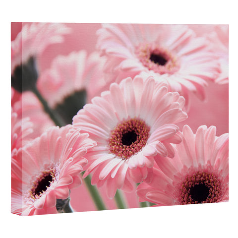 Lisa Argyropoulos Gerbera Spring Art Canvas