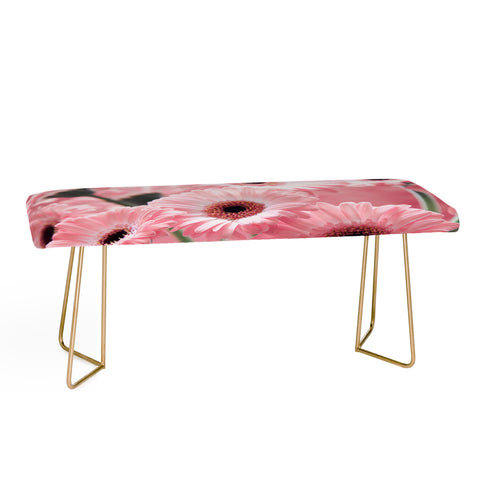 Lisa Argyropoulos Gerbera Spring Bench