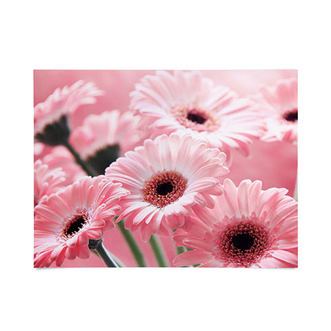Lisa Argyropoulos Gerbera Spring Poster