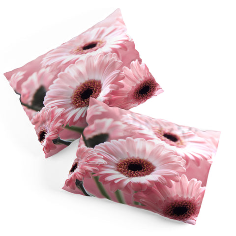 Lisa Argyropoulos Gerbera Spring Pillow Shams