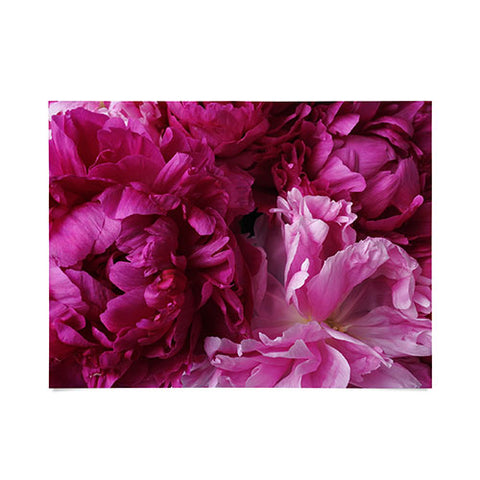 Lisa Argyropoulos Glamour Pink Peonies Poster