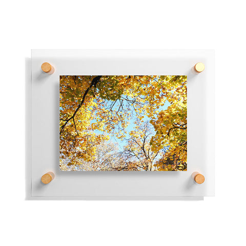 Lisa Argyropoulos Golden Autumn Floating Acrylic Print