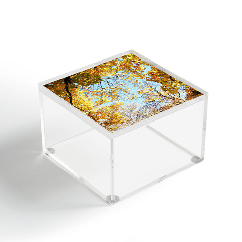 Lisa Argyropoulos Golden Autumn Acrylic Box