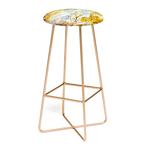 Lisa Argyropoulos Golden Autumn Bar Stool