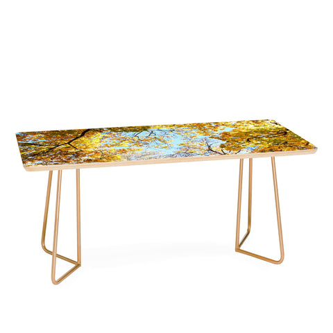 Lisa Argyropoulos Golden Autumn Coffee Table