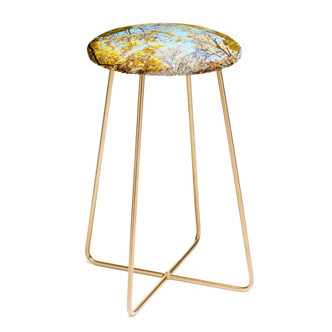 Lisa Argyropoulos Golden Autumn Counter Stool