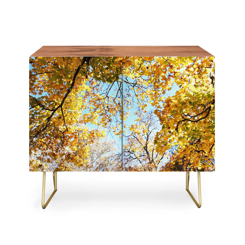 Lisa Argyropoulos Golden Autumn Credenza