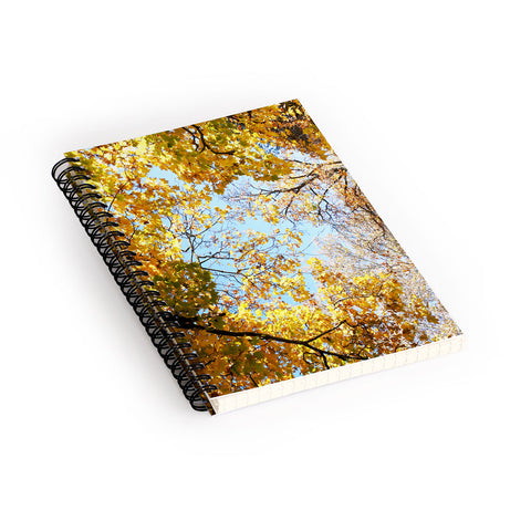 Lisa Argyropoulos Golden Autumn Spiral Notebook