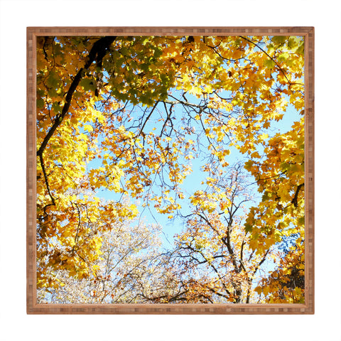 Lisa Argyropoulos Golden Autumn Square Tray