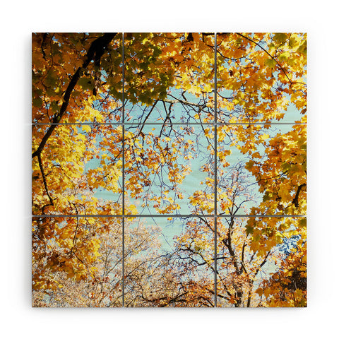 Lisa Argyropoulos Golden Autumn Wood Wall Mural