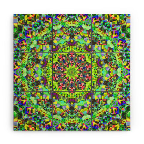 Lisa Argyropoulos Inspire Meadow Wood Wall Mural