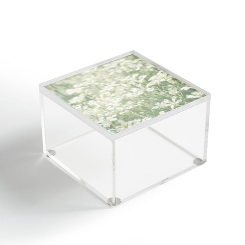 Lisa Argyropoulos Interlude Acrylic Box