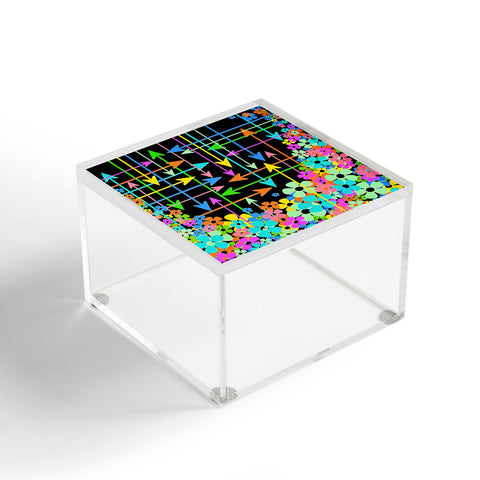 Lisa Argyropoulos Its A Spring Thing 1 Acrylic Box