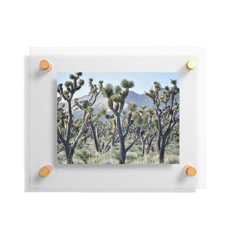 Lisa Argyropoulos Joshuas Floating Acrylic Print