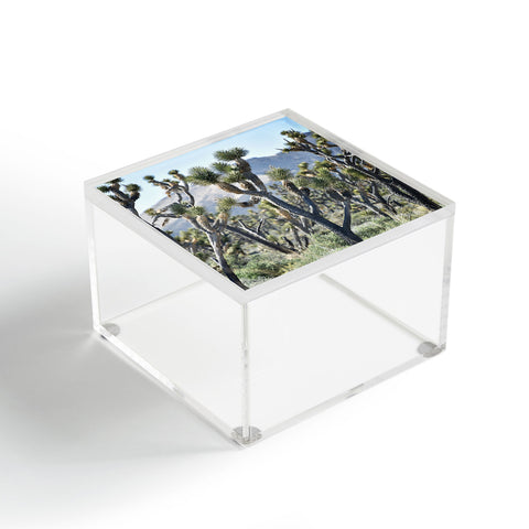 Lisa Argyropoulos Joshuas Acrylic Box