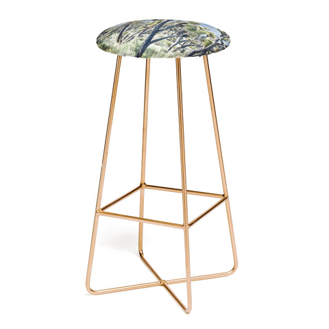Lisa Argyropoulos Joshuas Bar Stool