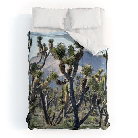 Lisa Argyropoulos Joshuas Comforter