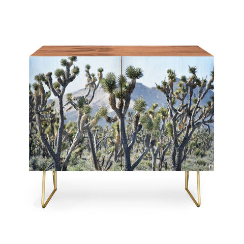 Lisa Argyropoulos Joshuas Credenza