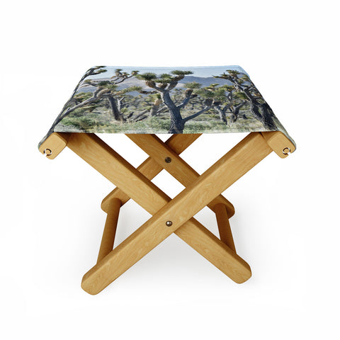 Lisa Argyropoulos Joshuas Folding Stool
