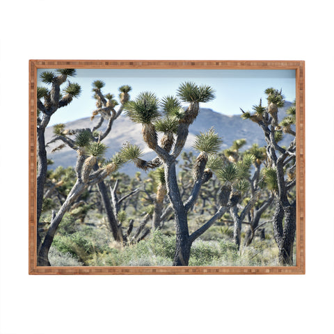 Lisa Argyropoulos Joshuas Rectangular Tray