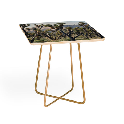 Lisa Argyropoulos Joshuas Side Table