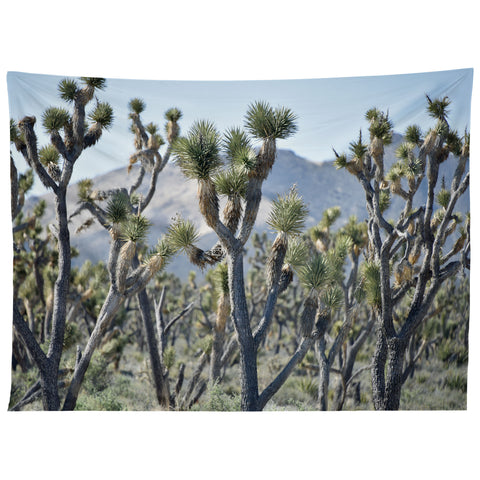 Lisa Argyropoulos Joshuas Tapestry