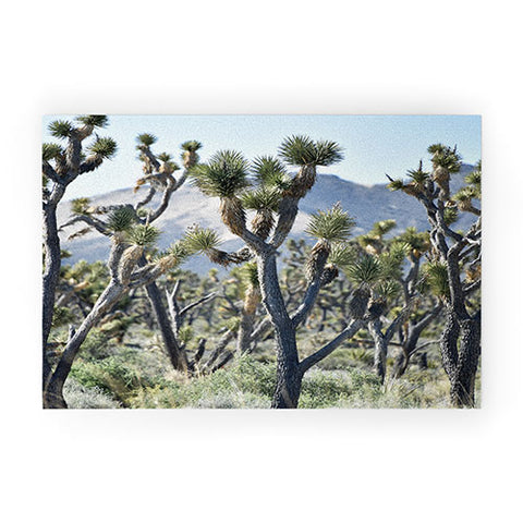 Lisa Argyropoulos Joshuas Welcome Mat