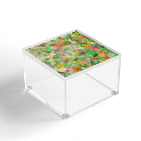 Lisa Argyropoulos Joyful Acrylic Box