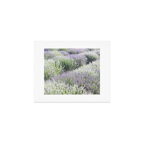 Lisa Argyropoulos Lavender Dreams Art Print