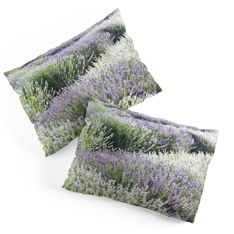 Lisa Argyropoulos Lavender Dreams Pillow Shams