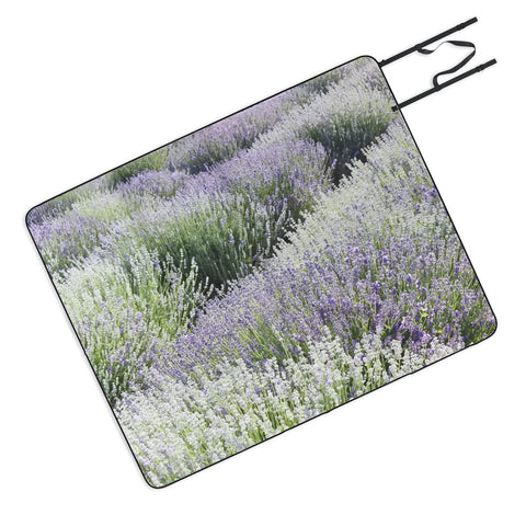 Lisa Argyropoulos Lavender Dreams Picnic Blanket