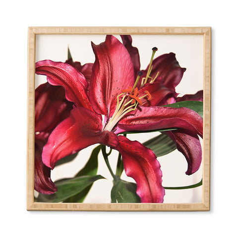 Lisa Argyropoulos Lily De Burgundy Framed Wall Art