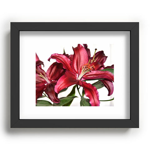 Lisa Argyropoulos Lily De Burgundy Recessed Framing Rectangle