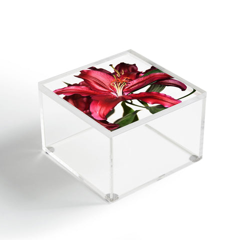 Lisa Argyropoulos Lily De Burgundy Acrylic Box
