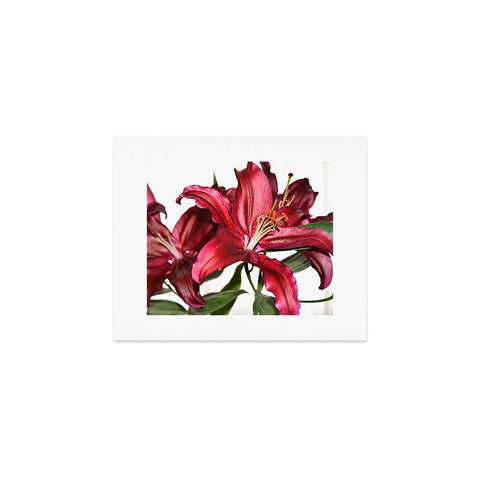 Lisa Argyropoulos Lily De Burgundy Art Print
