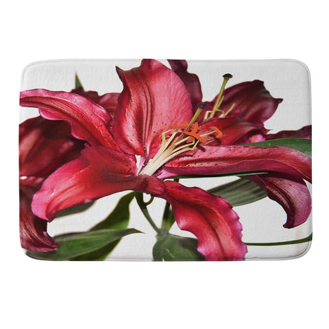 Lisa Argyropoulos Lily De Burgundy Memory Foam Bath Mat