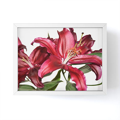 Lisa Argyropoulos Lily De Burgundy Framed Mini Art Print