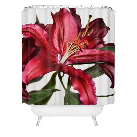 Lisa Argyropoulos Lily De Burgundy Shower Curtain