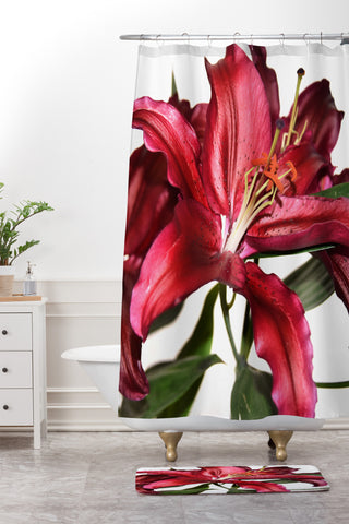 Lisa Argyropoulos Lily De Burgundy Shower Curtain And Mat