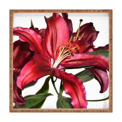 Lisa Argyropoulos Lily De Burgundy Square Tray