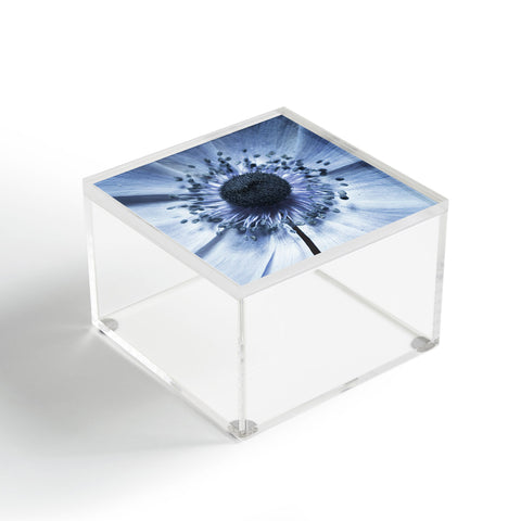 Lisa Argyropoulos Luna Blue Acrylic Box