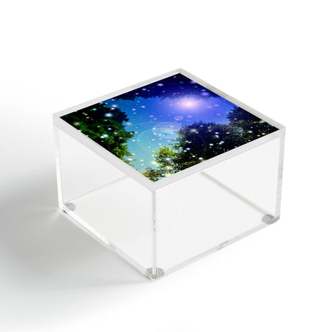 Lisa Argyropoulos Make A Wish 1 Acrylic Box