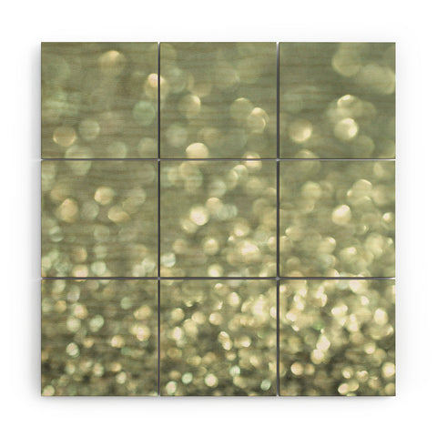 Lisa Argyropoulos Mingle 2 Silver Screen Wood Wall Mural