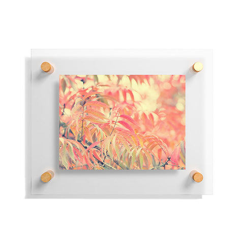 Lisa Argyropoulos Mystify Floating Acrylic Print